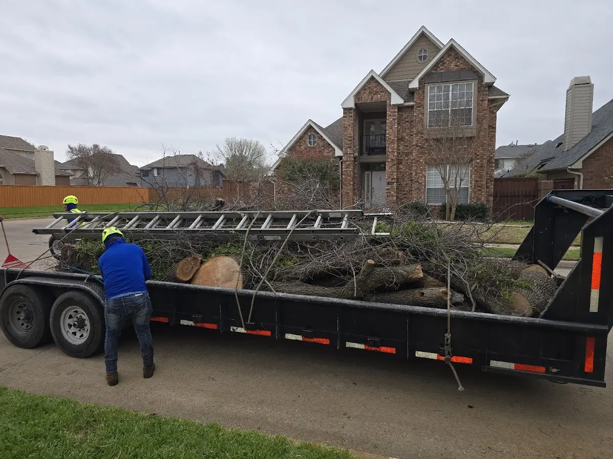Expert Tree Fertilization with proper safety equipment in Central